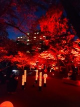 DSC_1386_R DSC_1386_R-e1738714535454